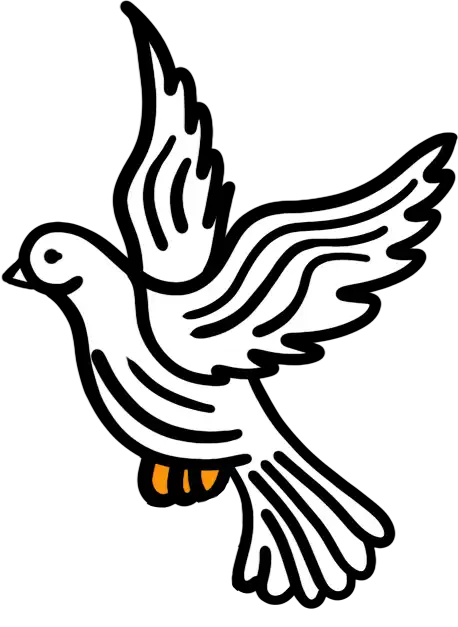 Oiseau colombe paix -oracle de Marseille